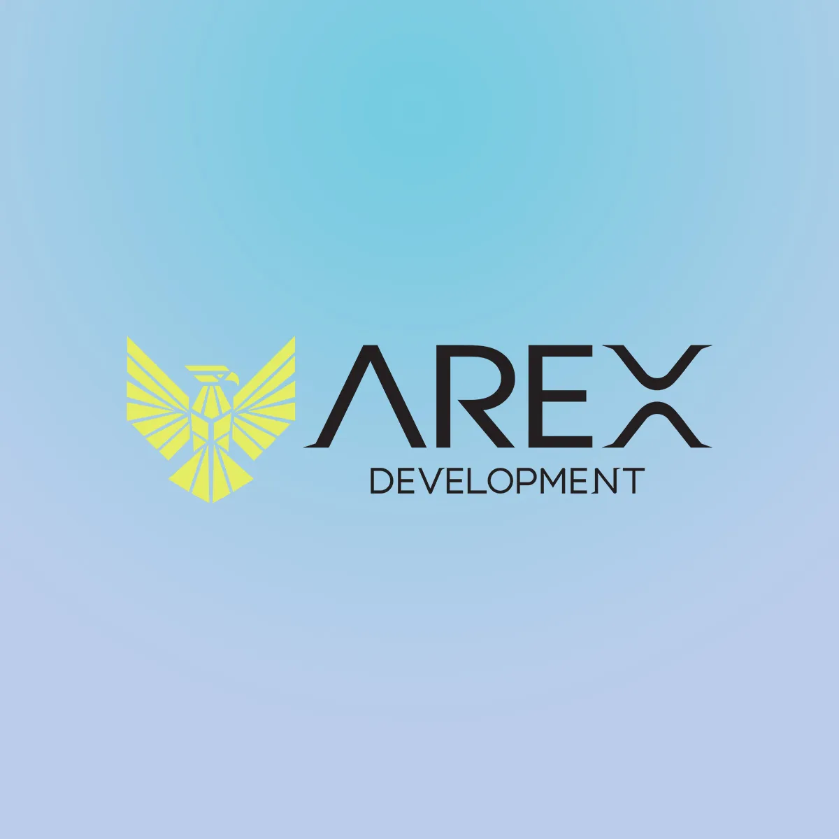 Project Preview