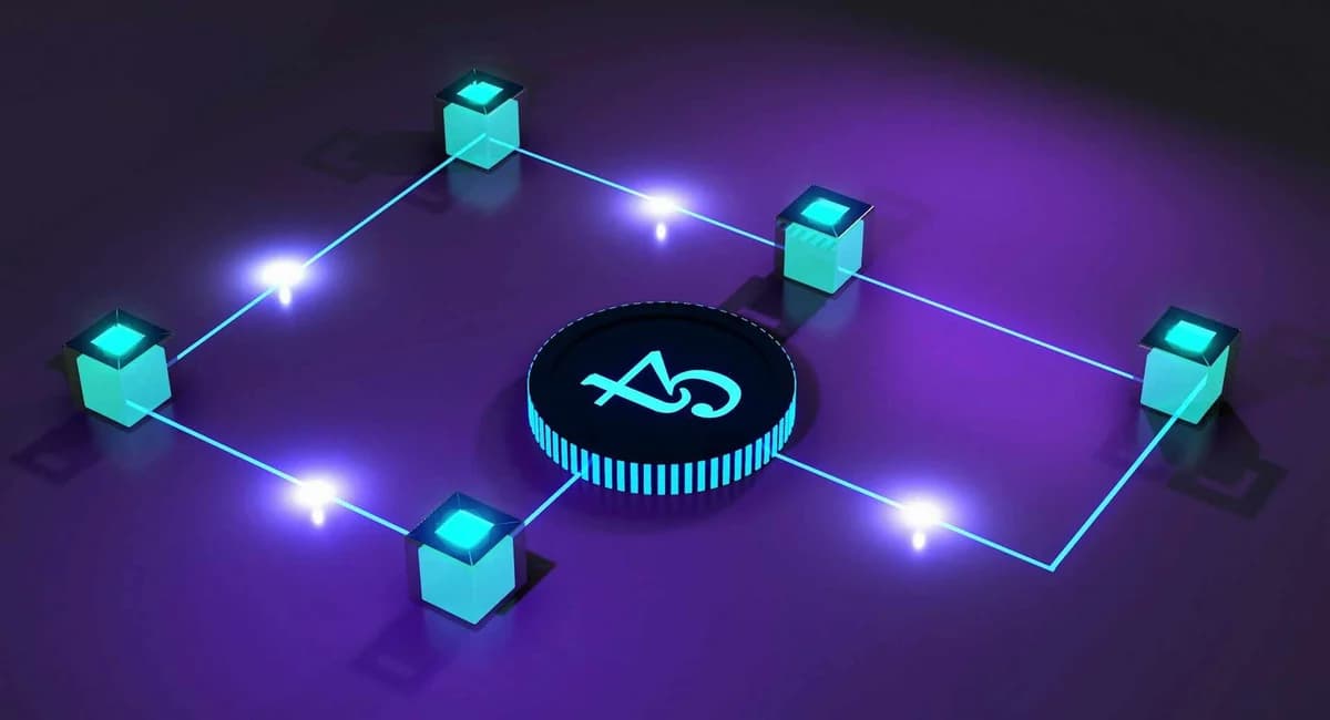 How MLPs, CNNs, RNNs, and Transformers Process Data